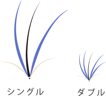 ���̃X�^�C���X�g���P�{�P�{�Ă��˂��Ɍ���ł����܂��B