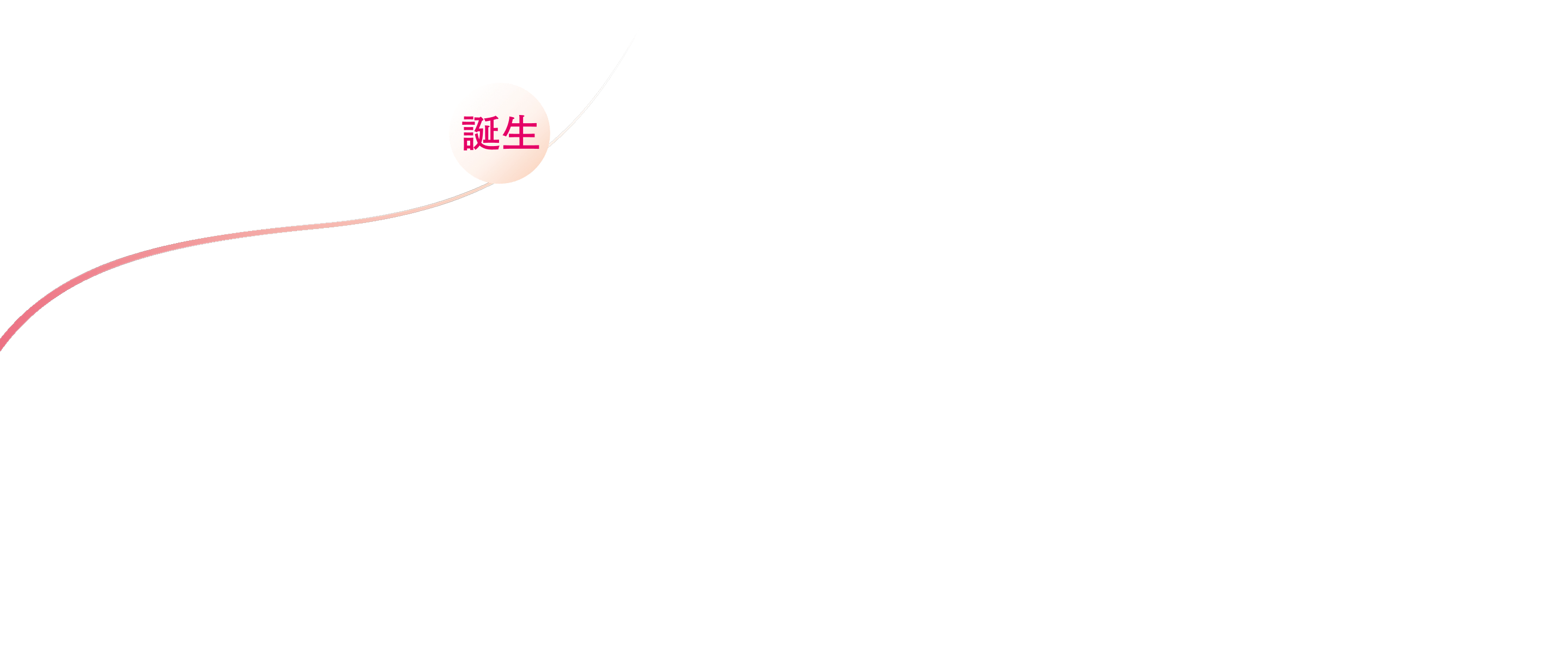 パッと美しくなじむ PANON パノン 誕生 さぁ、理想のヘアスタイルへ