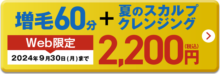 増毛60分+夏のスカルプクレンジング Web限定 ２０２４年9月３０日(月)まで 2,200円（税込）